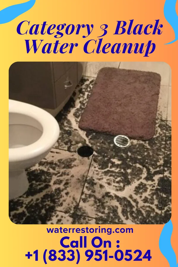 Category 3 Black Water Cleanup in Negaunee, MI