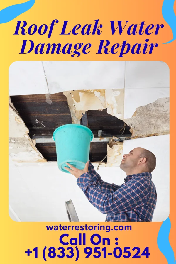 Roof Leak Water Damage Repair in Negaunee, MI